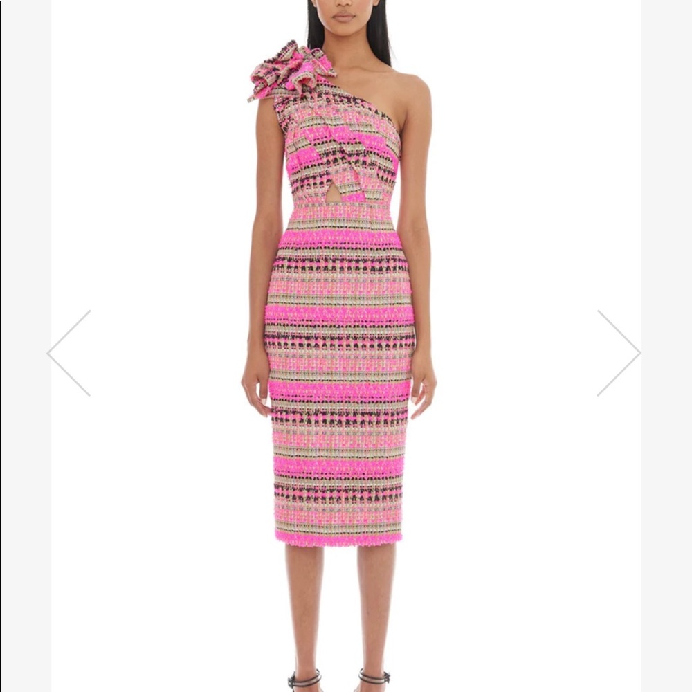 Eliya the Label Dahli Dress xs